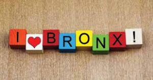 Bronx Symphony Business Consultants